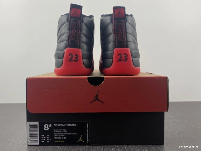 12 130690-002 Jordan Retro (2016) Game Flu 1108